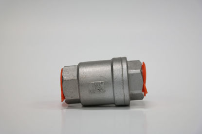 Picture of ESG vertical check valves
